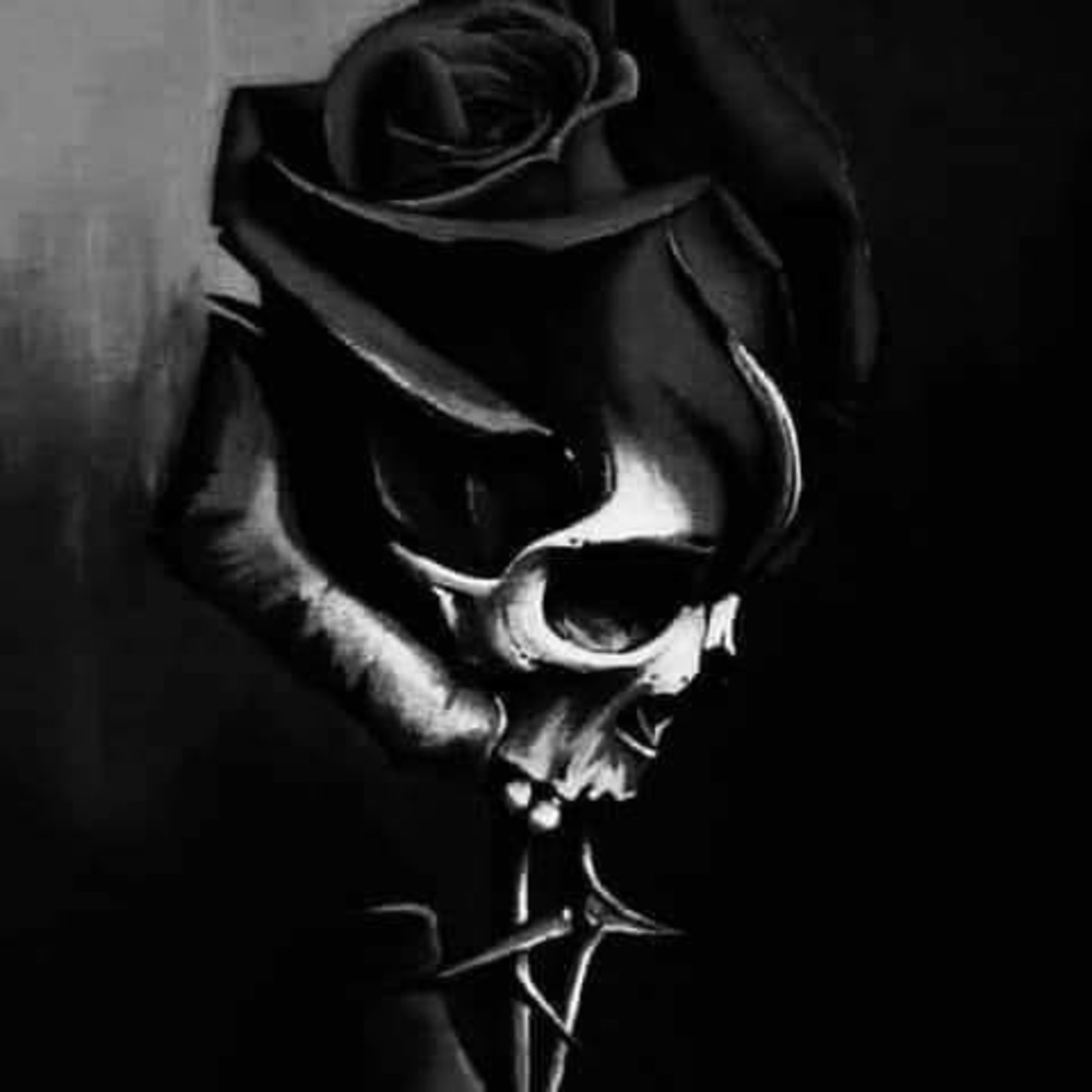 Meet your Posher, Kyrie